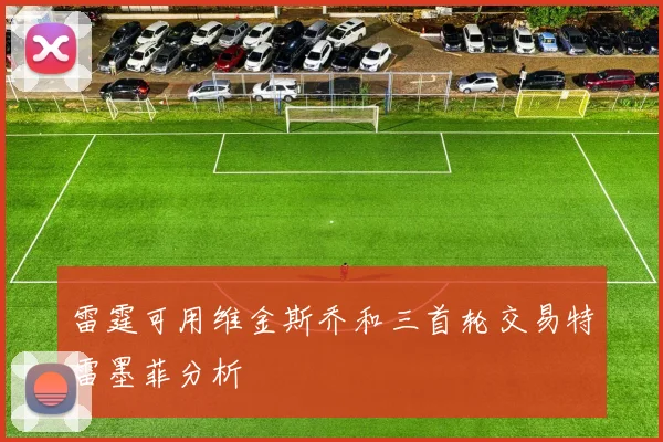 雷霆可用维金斯乔和三首轮交易特雷墨菲分析