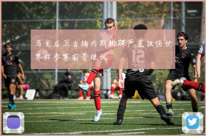 马竞后卫吉梅内斯脚踝严重扭伤世界杯参赛前景堪忧