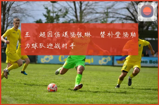王燊超因伤退场张琳芃替补登场助力球队迎战对手